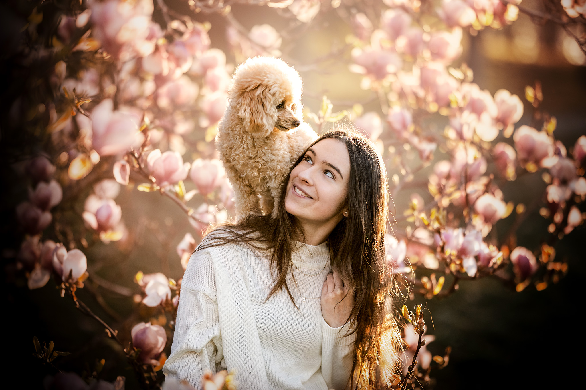 Fotoshootings Hund : Vanessa Hummel und Isy