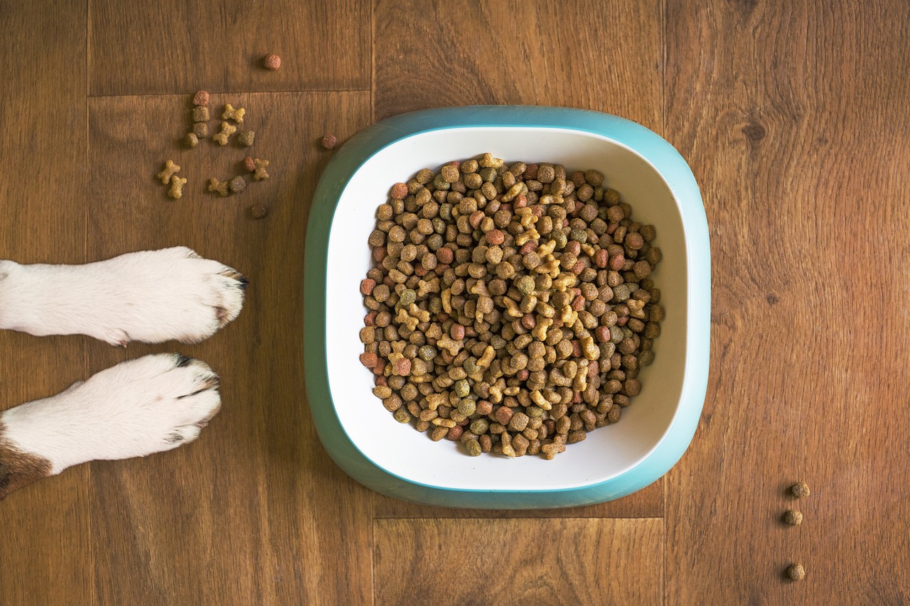 Gesunde Ernährung für Hunde